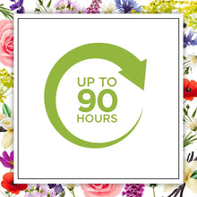 Charger l'image dans la galerie, Air wick Bougie Botanica Jasmin et Feuille de Cannelle du Sri Lanka 500G AIR WICK