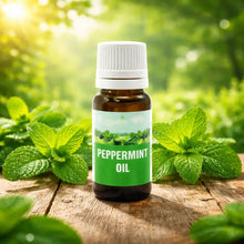 Charger l'image dans la galerie, Huile Essentielle de Menthe Poivrée (Peppermint Oil) – 10 ml