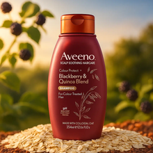Charger l&#39;image dans la galerie, Aveeno Protection des couleurs Shampooing capillaire avec mûre et quinoa, 354 ml AVEENO
