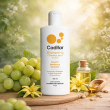 Charger l'image dans la galerie, Shampooing Nourrissant Caditar Cheveux Secs — 150 ml