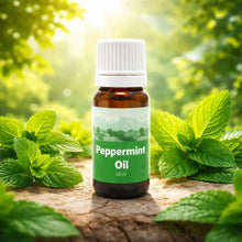 Charger l'image dans la galerie, Huile Essentielle de Menthe Poivrée (Peppermint Oil) – 10 ml